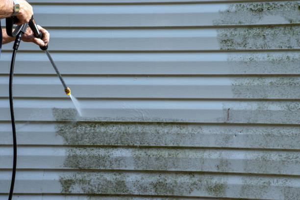 Professional Siding Installation & Repair in Memphis, MI