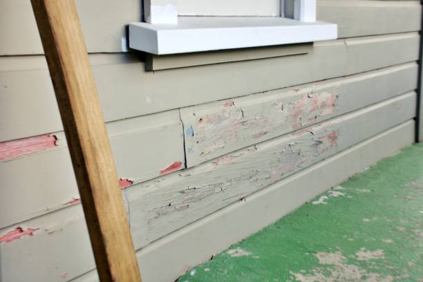 Best Wood Siding Installation  in Memphis, MI